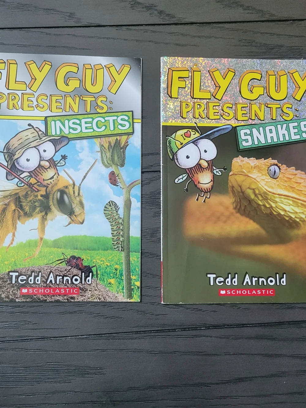 Fly Guy Presents Insects and Snakes books by Tedd Arnold #flyguy #insects